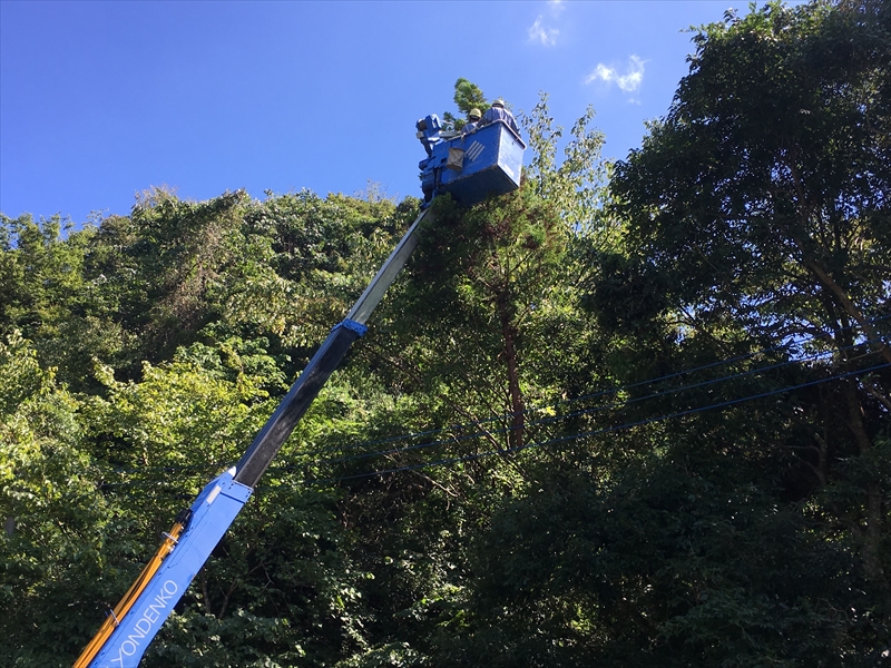 プロフェッショナルを目指す仲間募集中！